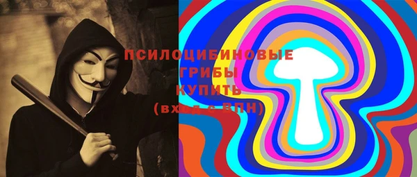 крисы Бородино