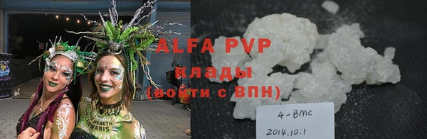 крисы Бородино