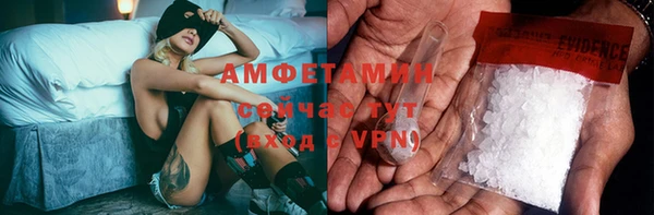 крисы Бородино
