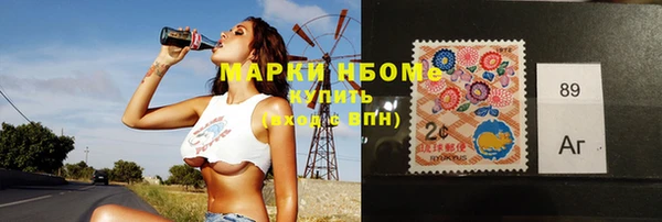 крисы Бородино