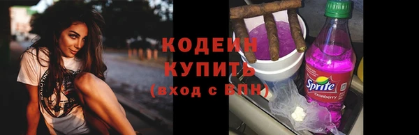 прущие грибы Бронницы