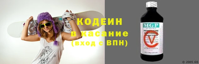 прущие грибы Бронницы