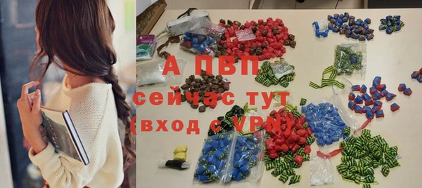 прущие грибы Бронницы