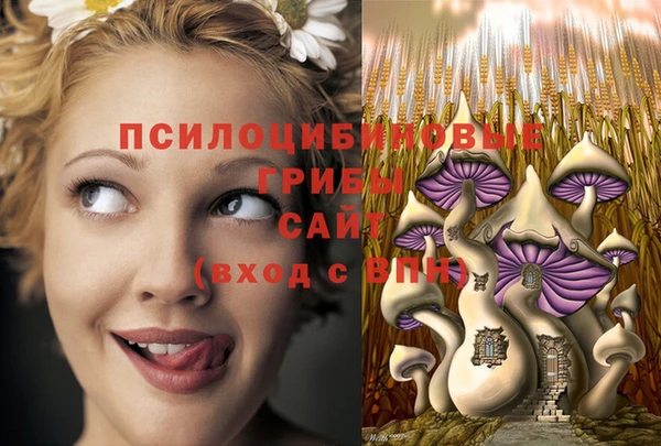 крисы Бородино