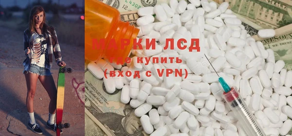крисы Бородино