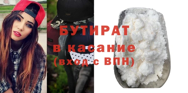 крисы Бородино
