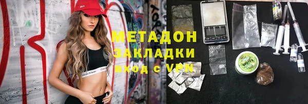 прущие грибы Бронницы